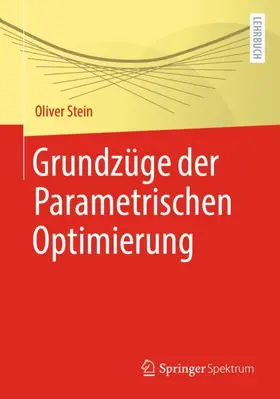 Stein |  Grundzüge der Parametrischen Optimierung | Buch |  Sack Fachmedien