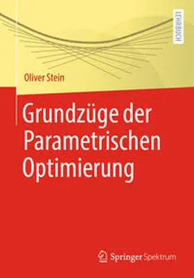 Stein |  Grundzüge der Parametrischen Optimierung | eBook | Sack Fachmedien