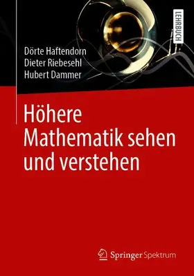 Haftendorn / Riebesehl / Dammer |  Höhere Mathematik sehen und verstehen | Buch |  Sack Fachmedien
