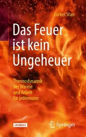 Stan |  Das Feuer ist kein Ungeheuer | eBook | Sack Fachmedien