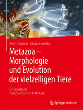 Paululat / Purschke |  Metazoa - Morphologie und Evolution der vielzelligen Tiere | eBook | Sack Fachmedien