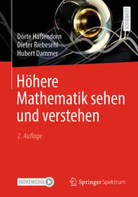 Haftendorn / Riebesehl / Dammer | Höhere Mathematik sehen und verstehen | E-Book | sack.de