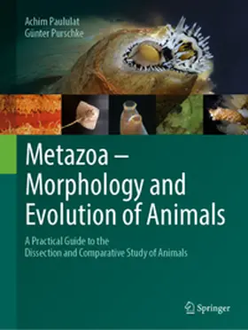 Paululat / Purschke |  Metazoa – Morphology and Evolution of Animals | eBook | Sack Fachmedien