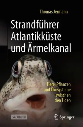 Jermann |  Strandführer Atlantikküste und Ärmelkanal | Buch |  Sack Fachmedien