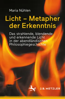 Nühlen |  Licht – Metapher der Erkenntnis | eBook | Sack Fachmedien