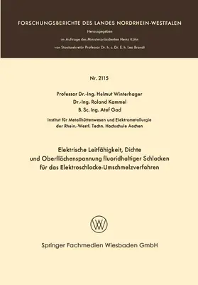 Winterhager |  Elektrische Leitfähigkeit, Dichte und Oberflächenspannung fluoridhaltiger Schlakken für das Elektroschlacke-Umschmelzverfahren | Buch |  Sack Fachmedien