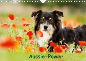 Mayer |  Aussie-Power (Wandkalender 2017 DIN A4 quer) | Sonstiges |  Sack Fachmedien