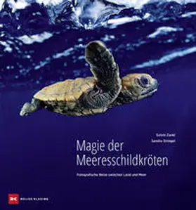 Striegel |  Magie der Meeresschildkröten | Buch |  Sack Fachmedien