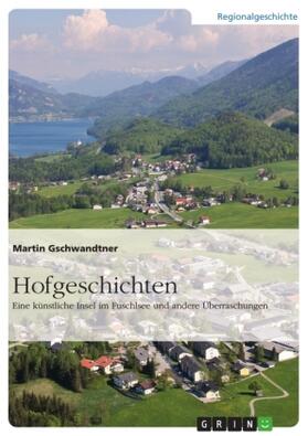 Gschwandtner | Hofgeschichten. Eine künstliche Insel im Fuschlsee und andere Überraschungen | Buch | 978-3-668-10267-5 | sack.de