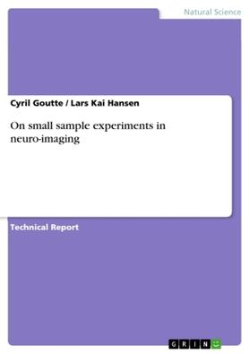 Goutte / Hansen |  On small sample experiments in neuro-imaging | Buch |  Sack Fachmedien