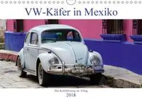 Werner |  VW-Käfer in Mexiko (Wandkalender 2018 DIN A4 quer) | Sonstiges |  Sack Fachmedien