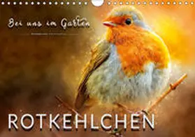 Roder |  Bei uns im Garten - Rotkehlchen (Wandkalender 2019 DIN A4 quer) | Sonstiges |  Sack Fachmedien