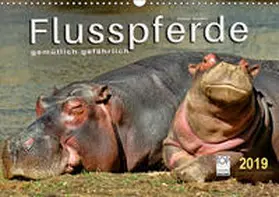 Roder | Flusspferde - gemütlich gefährlich (Wandkalender 2019 DIN A3 quer) | Sonstiges | 978-3-669-43173-6 | sack.de