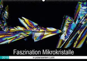 Becker | Faszination Mikrokristalle in polarisiertem Licht (Wandkalender 2019 DIN A2 quer) | Sonstiges | 978-3-669-43182-8 | sack.de