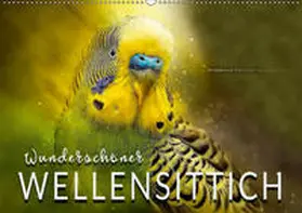Roder |  Wunderschöner Wellensittich (Wandkalender 2019 DIN A2 quer) | Sonstiges |  Sack Fachmedien