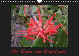 Kreissig |  Die Flora von Feuerland (Wandkalender 2019 DIN A4 quer) | Sonstiges |  Sack Fachmedien