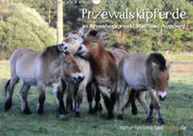 Thoma |  Przewalskipferde (Wandkalender 2019 DIN A3 quer) | Sonstiges |  Sack Fachmedien