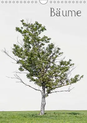 von Felbert |  Bäume (Wandkalender 2019 DIN A4 hoch) | Sonstiges |  Sack Fachmedien