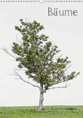 von Felbert |  Bäume (Wandkalender 2019 DIN A3 hoch) | Sonstiges |  Sack Fachmedien