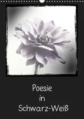 Möller |  Poesie in Schwarz-Weiß (Wandkalender 2019 DIN A3 hoch) | Sonstiges |  Sack Fachmedien