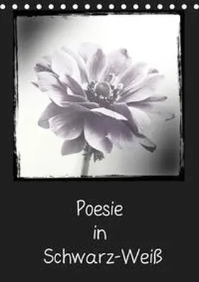 Möller |  Poesie in Schwarz-Weiß (Tischkalender 2019 DIN A5 hoch) | Sonstiges |  Sack Fachmedien