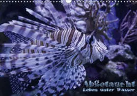 Hebbel-Seeger |  Abgetaucht - Leben unter Wasser (Wandkalender 2019 DIN A3 quer) | Sonstiges |  Sack Fachmedien