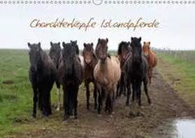 Stephan |  Charakterköpfe Islandpferde (Wandkalender 2019 DIN A3 quer) | Sonstiges |  Sack Fachmedien