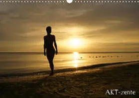 Weber |  AKT-zente (Wandkalender 2019 DIN A3 quer) | Sonstiges |  Sack Fachmedien