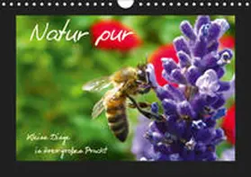 Brandt |  Natur pur / Kleine Dinge in ihrer großen Pracht (Wandkalender 2019 DIN A4 quer) | Sonstiges |  Sack Fachmedien