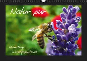 Brandt | Natur pur / Kleine Dinge in ihrer großen Pracht (Wandkalender 2019 DIN A3 quer) | Sonstiges | 978-3-669-62905-8 | sack.de