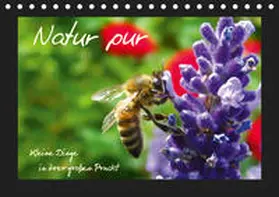 Brandt |  Natur pur / Kleine Dinge in ihrer großen Pracht (Tischkalender 2019 DIN A5 quer) | Sonstiges |  Sack Fachmedien