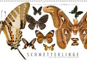 Gerlach |  Emotionale Momente: Schmetterlinge - exotische Schmetterlingspräparate (Wandkalender 2019 DIN A3 quer) | Sonstiges |  Sack Fachmedien