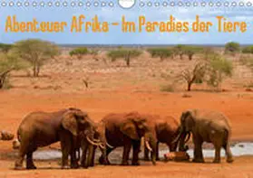 Rohr |  Abenteuer Afrika - Im Paradies der Tiere (Wandkalender 2019 DIN A4 quer) | Sonstiges |  Sack Fachmedien