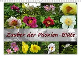 Reiter |  Zauber der Päonien-Blüte (Wandkalender 2019 DIN A3 quer) | Sonstiges |  Sack Fachmedien