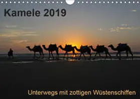 Weber |  Kamele 2019 - Unterwegs mit zottigen WüstenschiffenCH-Version  (Wandkalender 2019 DIN A4 quer) | Sonstiges |  Sack Fachmedien