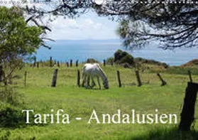 Peitz |  Tarifa - Andalusien (Wandkalender 2019 DIN A3 quer) | Sonstiges |  Sack Fachmedien