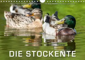 Gerlach |  Emotionale Momente: Die Stockente. (Wandkalender 2019 DIN A4 quer) | Sonstiges |  Sack Fachmedien