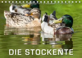 Gerlach |  Emotionale Momente: Die Stockente. (Tischkalender 2019 DIN A5 quer) | Sonstiges |  Sack Fachmedien