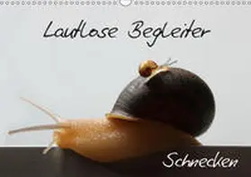Geiling | Lautlose Begleiter - Schnecken (Wandkalender 2019 DIN A3 quer) | Sonstiges | 978-3-669-65728-0 | sack.de