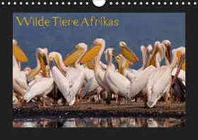 Depner |  Wilde Tiere Afrikas (Wandkalender 2019 DIN A4 quer) | Sonstiges |  Sack Fachmedien