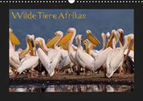 Depner |  Wilde Tiere Afrikas (Wandkalender 2019 DIN A3 quer) | Sonstiges |  Sack Fachmedien