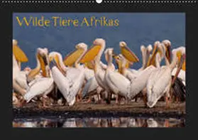 Depner |  Wilde Tiere Afrikas (Wandkalender 2019 DIN A2 quer) | Sonstiges |  Sack Fachmedien