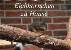 Peitz | Eichhörnchen zu Hause (Wandkalender 2019 DIN A2 quer) | Sonstiges | 978-3-669-66661-9 | www2.sack.de