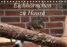 Peitz | Eichhörnchen zu Hause (Tischkalender 2019 DIN A5 quer) | Sonstiges | 978-3-669-66662-6 | www2.sack.de