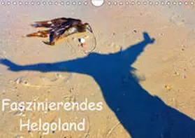 Raab | Faszinierendes Helgoland (Wandkalender 2019 DIN A4 quer) | Sonstiges | 978-3-669-68501-6 | sack.de