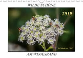 Roder |  Wilde Schöne am Wegesrand - Blumen und Pflanzen (Wandkalender 2019 DIN A4 quer) | Sonstiges |  Sack Fachmedien