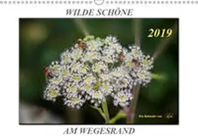 Roder |  Wilde Schöne am Wegesrand - Blumen und Pflanzen (Wandkalender 2019 DIN A3 quer) | Sonstiges |  Sack Fachmedien