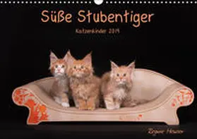 Heuser |  Süße Stubentiger - Katzenkinder (Wandkalender 2019 DIN A3 quer) | Sonstiges |  Sack Fachmedien