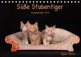 Heuser |  Süße Stubentiger - Katzenkinder (Tischkalender 2019 DIN A5 quer) | Sonstiges |  Sack Fachmedien