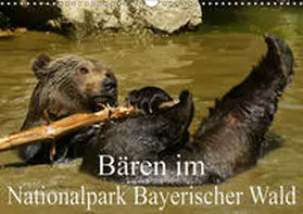 Müller |  Bären im Nationalpark Bayerischer Wald (Wandkalender 2019 DIN A3 quer) | Sonstiges |  Sack Fachmedien